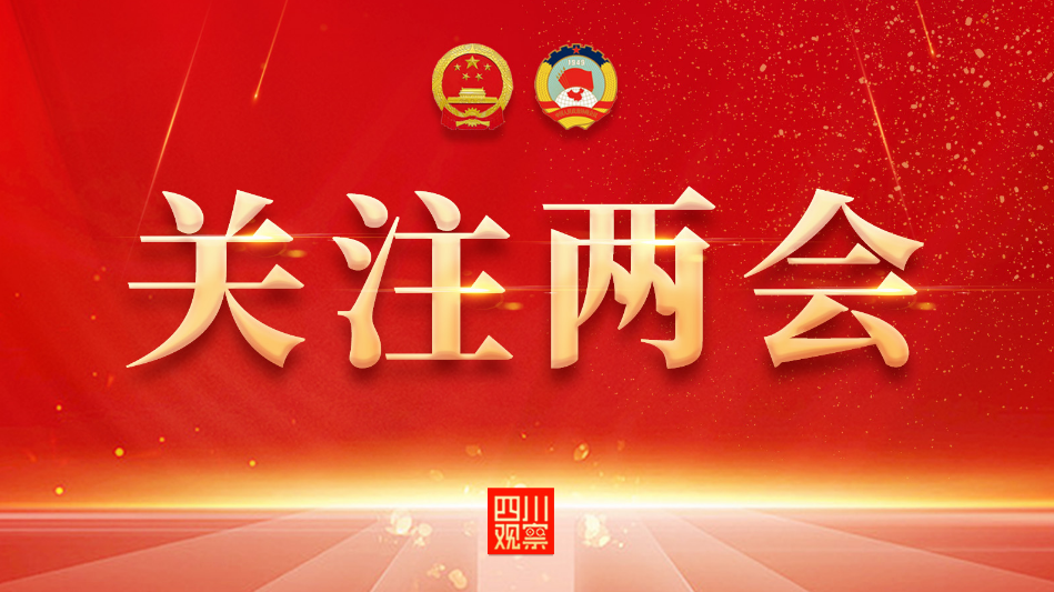 第十四届全国人民代表大会第一次会议日程