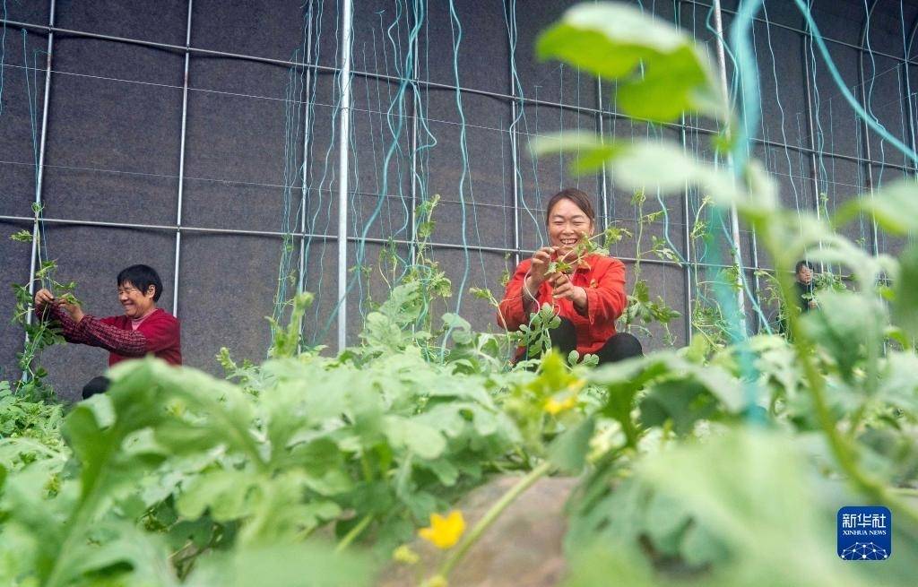 新時代新征程新偉業·全國兩會精神看落實｜以人民幸福安康為最終目的——貫徹落實全國兩會精神綜述之一