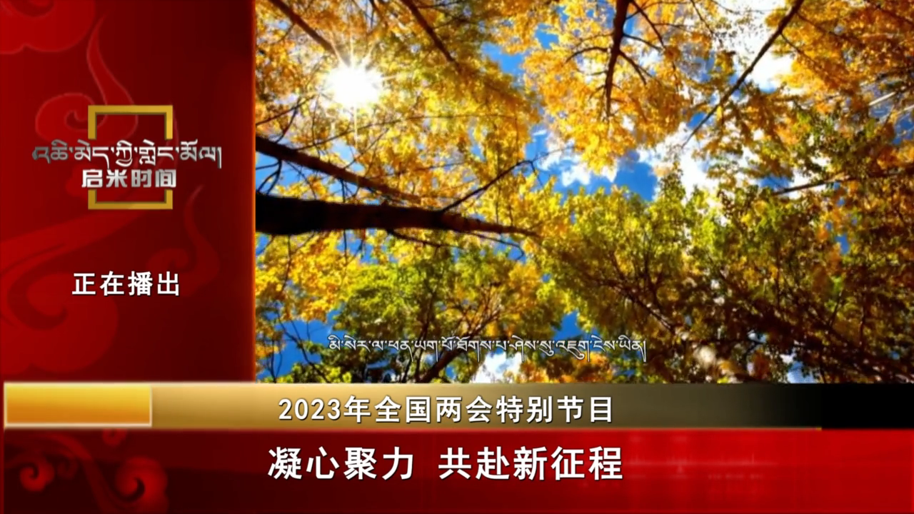 凝心聚力 共赴新征程（23.03.13）