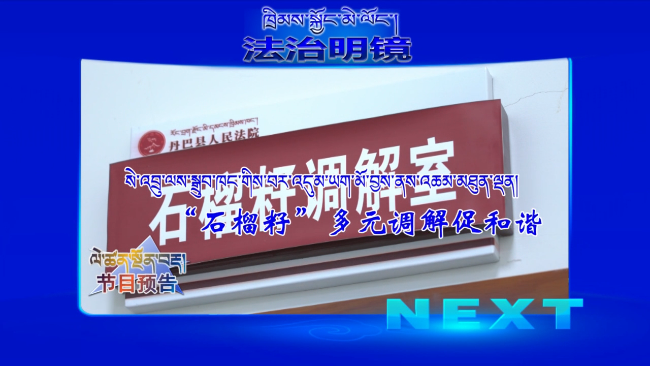“石榴籽”多元調解促和諧（23.04.06）