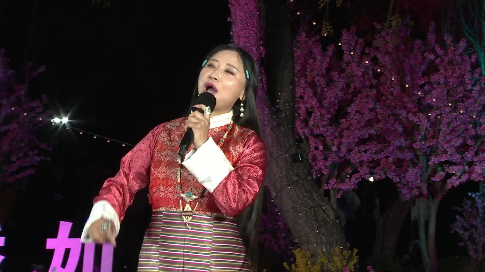 《天上的仙女》索朗拉姆