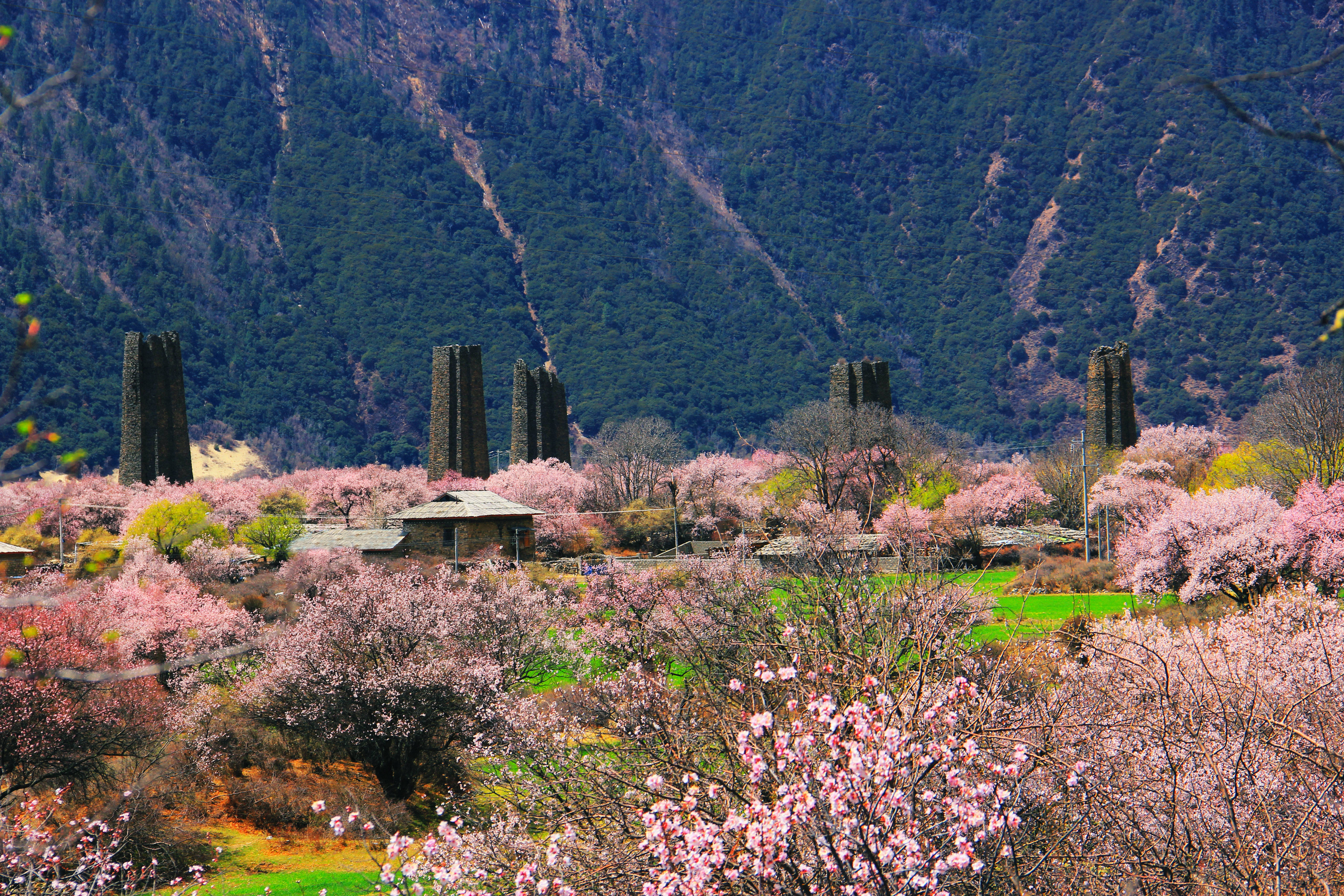 工布江達(dá)美景
