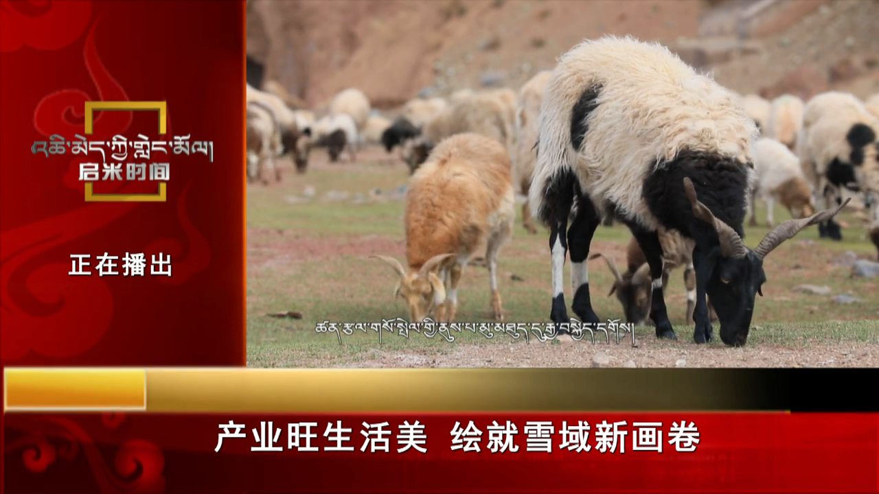 產(chǎn)業(yè)旺生活美 繪就雪域新畫卷（23.05.29）