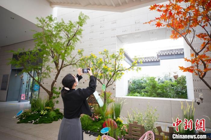 “園立方·植物星球”自然科普展教主題空間。　中國園林博物館供圖