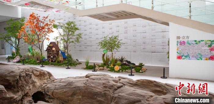 “園立方·植物星球”自然科普展教主題空間。　中國園林博物館供圖