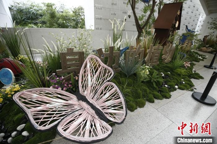 “解密”身邊植物中國園林博物館自然科普空間上新