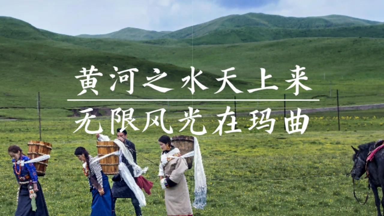 黃河之水天上來  無限風光在瑪曲