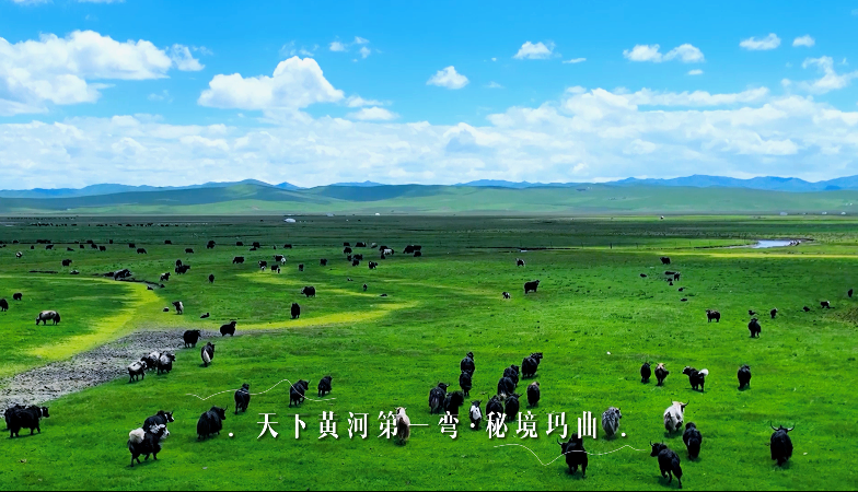 天下黃河第一彎·秘境瑪曲
