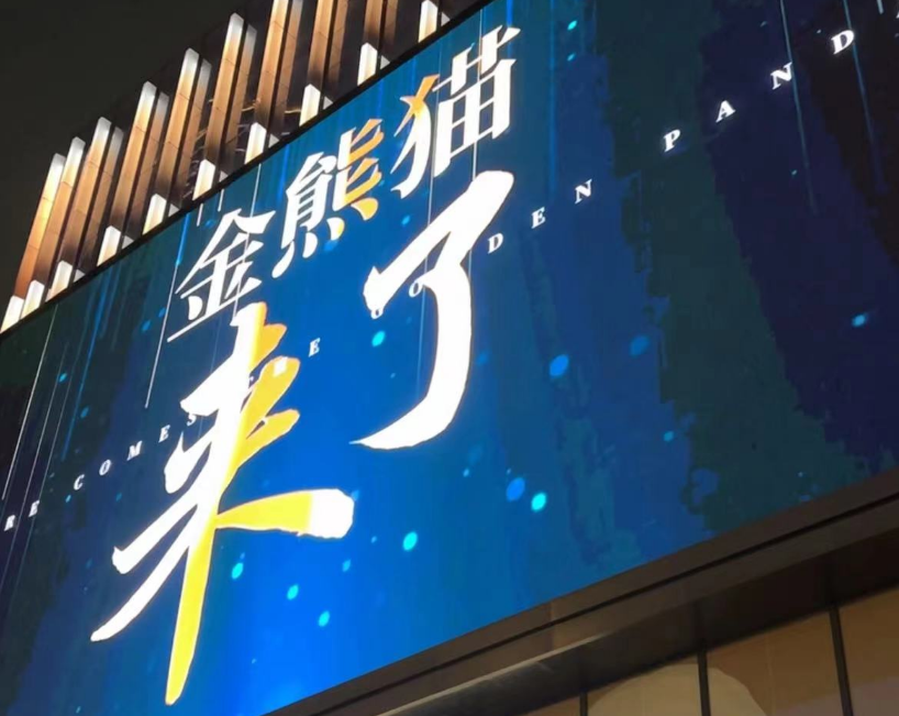 滿(mǎn)城盡帶“金熊貓” 成都秋天的“顯眼包“是它