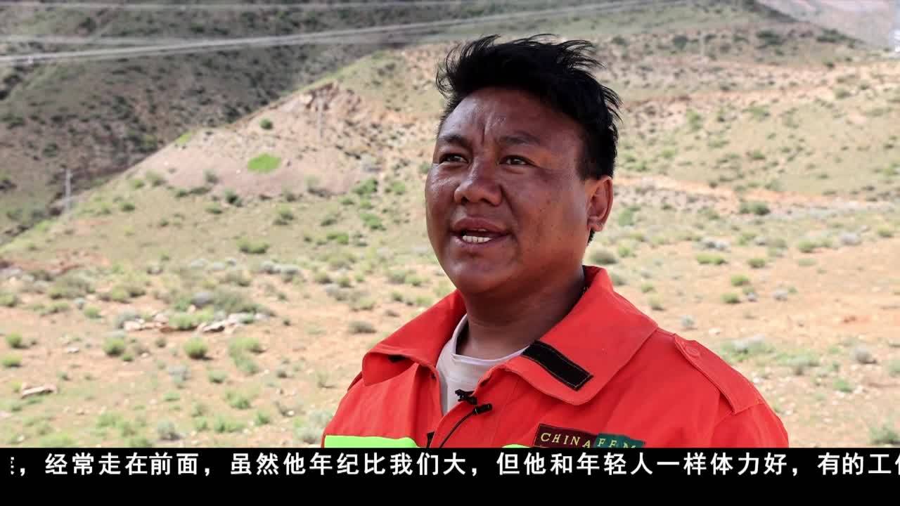 楊小強：翻山越嶺二十年，只為那片綠