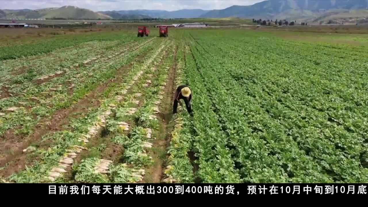 秋瓜果香 “果盤子”“菜籃子”上新！