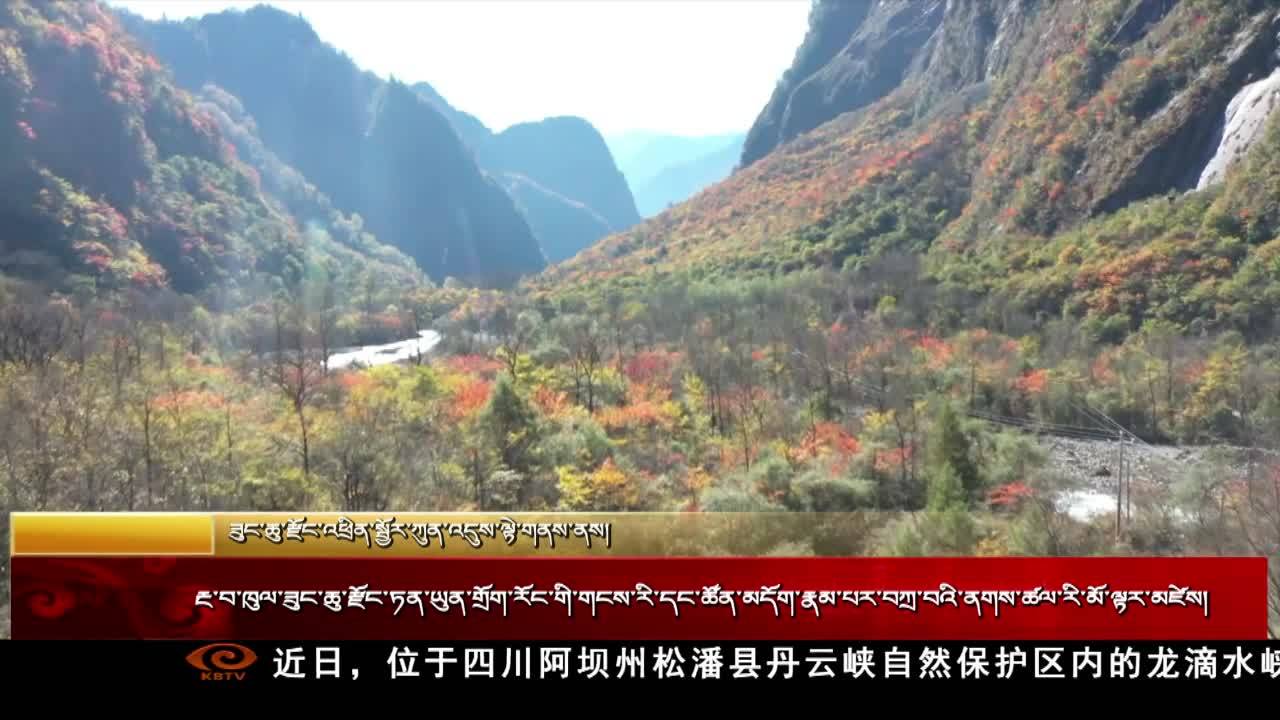 阿壩松潘：丹云峽 雪山彩林美如畫