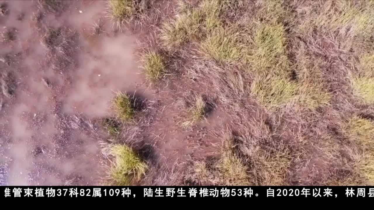 拉薩：加強濕地保護 著力推進創建申報國際濕地城市
