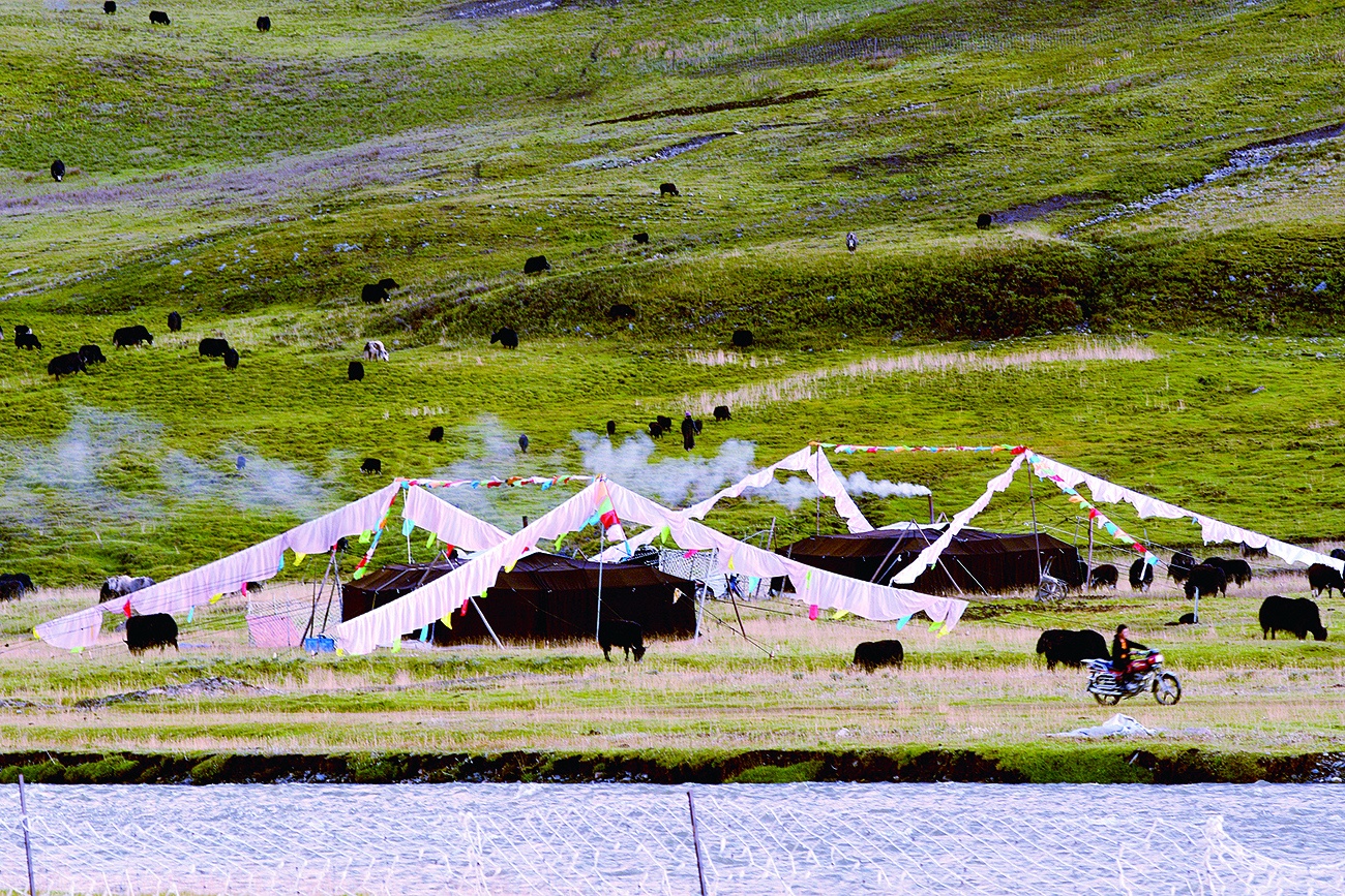 ཕུ་བོ་རྒྱ་ཚའི་འབྲོག་སྡེ་དང་རྫོགས་ཆེན་འབྲོག་རུ་སྡེ་བ།