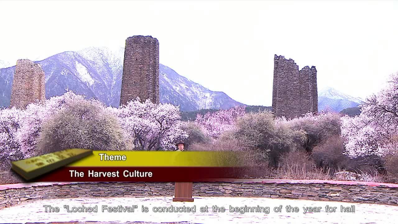 Tibetan Folk Culture VIII