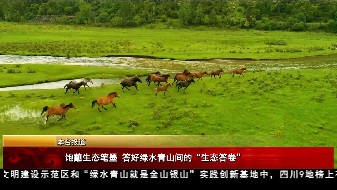 飽蘸生態筆墨 答好綠水青山間的“生態答卷”