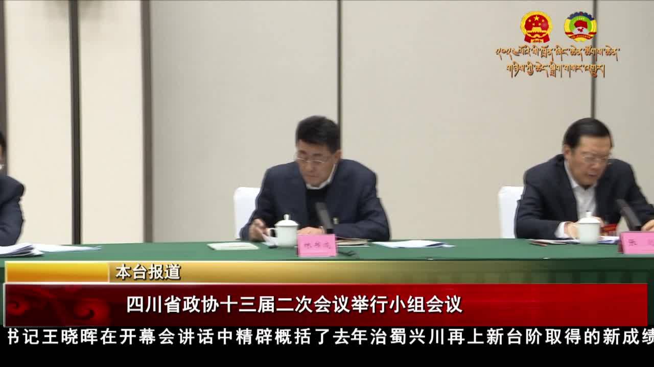 四川省政協十三屆二次會議舉行小組會議