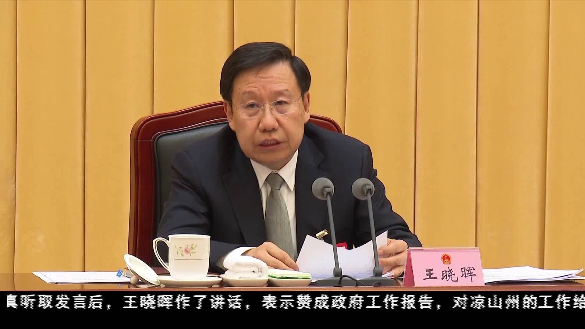 王曉暉參加涼山代表團審議