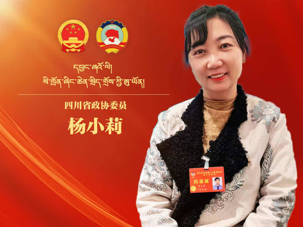 【两会海报】杨小莉 四川省政协委员 积极引导自媒体的健康发展，完善互联网监管。 维护民族地区妇女儿童合法权益。