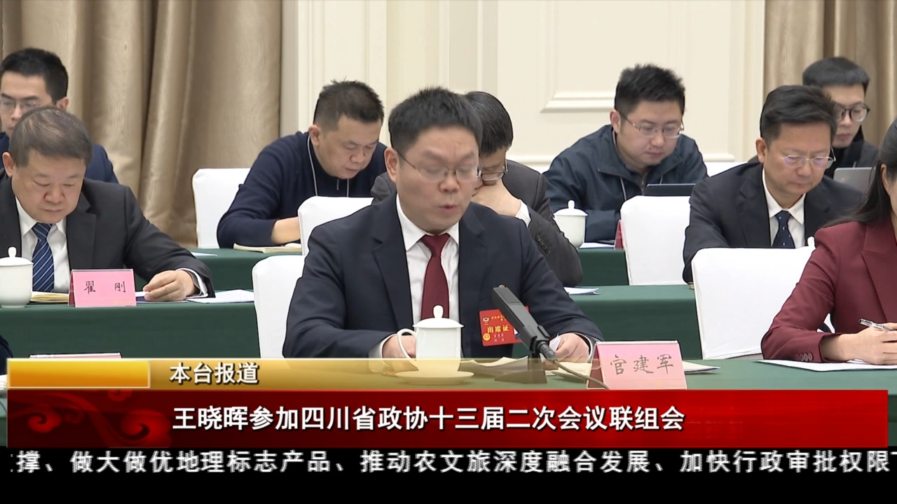 王曉暉參加四川省政協(xié)十三屆二次會(huì)議聯(lián)組會(huì)