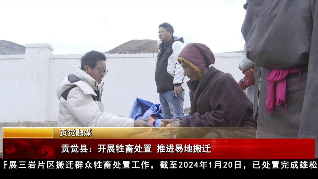貢覺縣：開展牲畜處置 推進易地搬遷