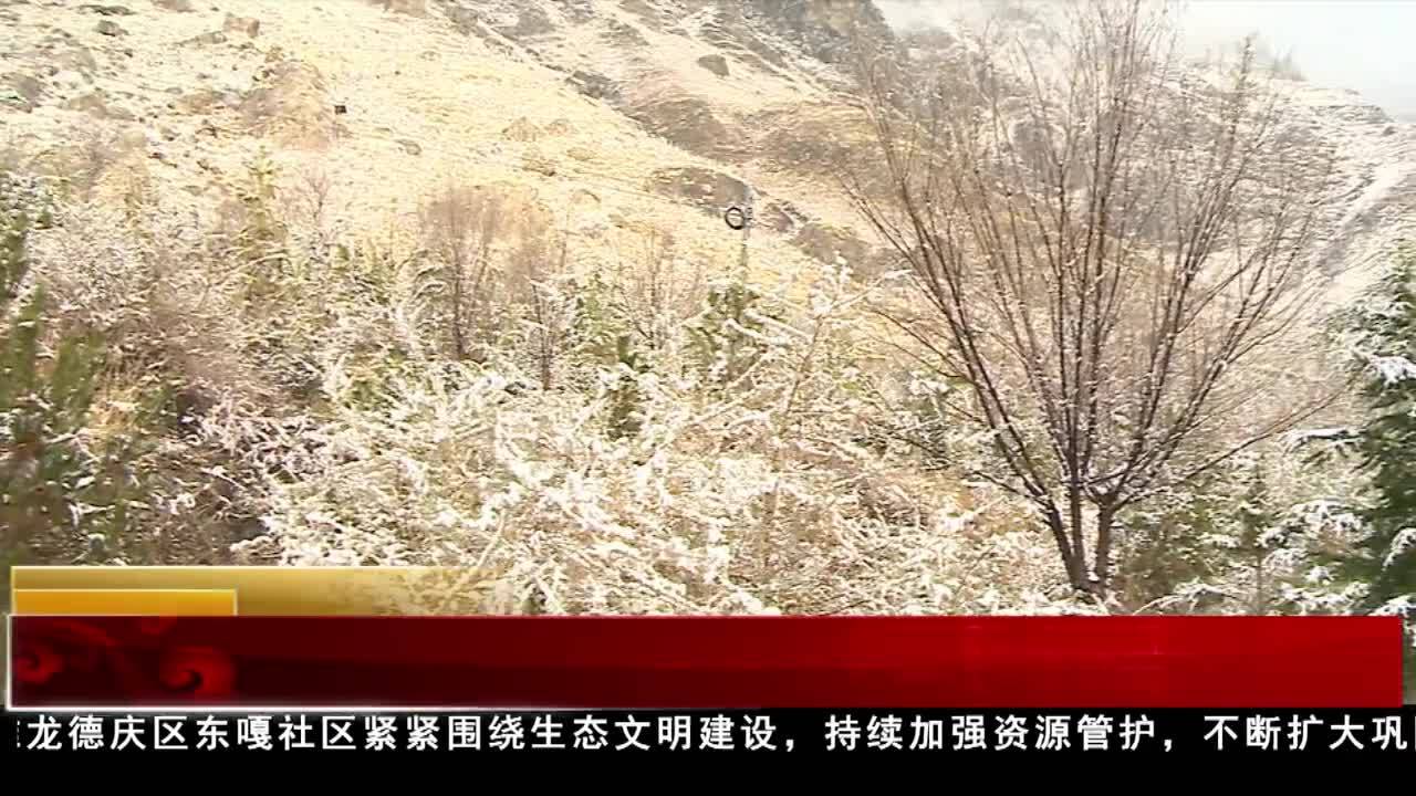 拉薩市堆龍德慶區全面推進防沙治沙和造林綠化工作