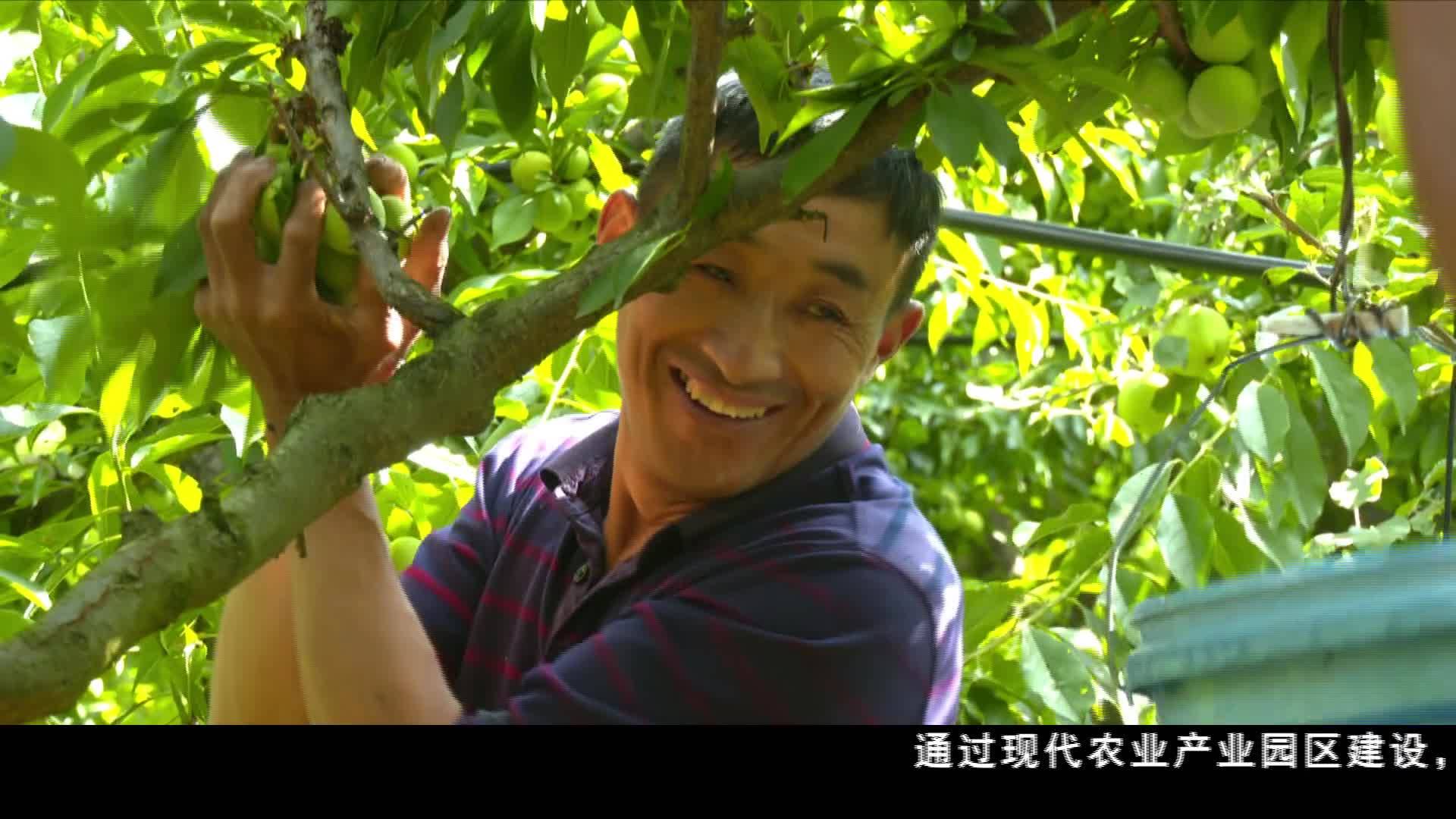 阿壩：做優(yōu)特色村域經(jīng)濟(jì) 繪和美鄉(xiāng)村新畫卷