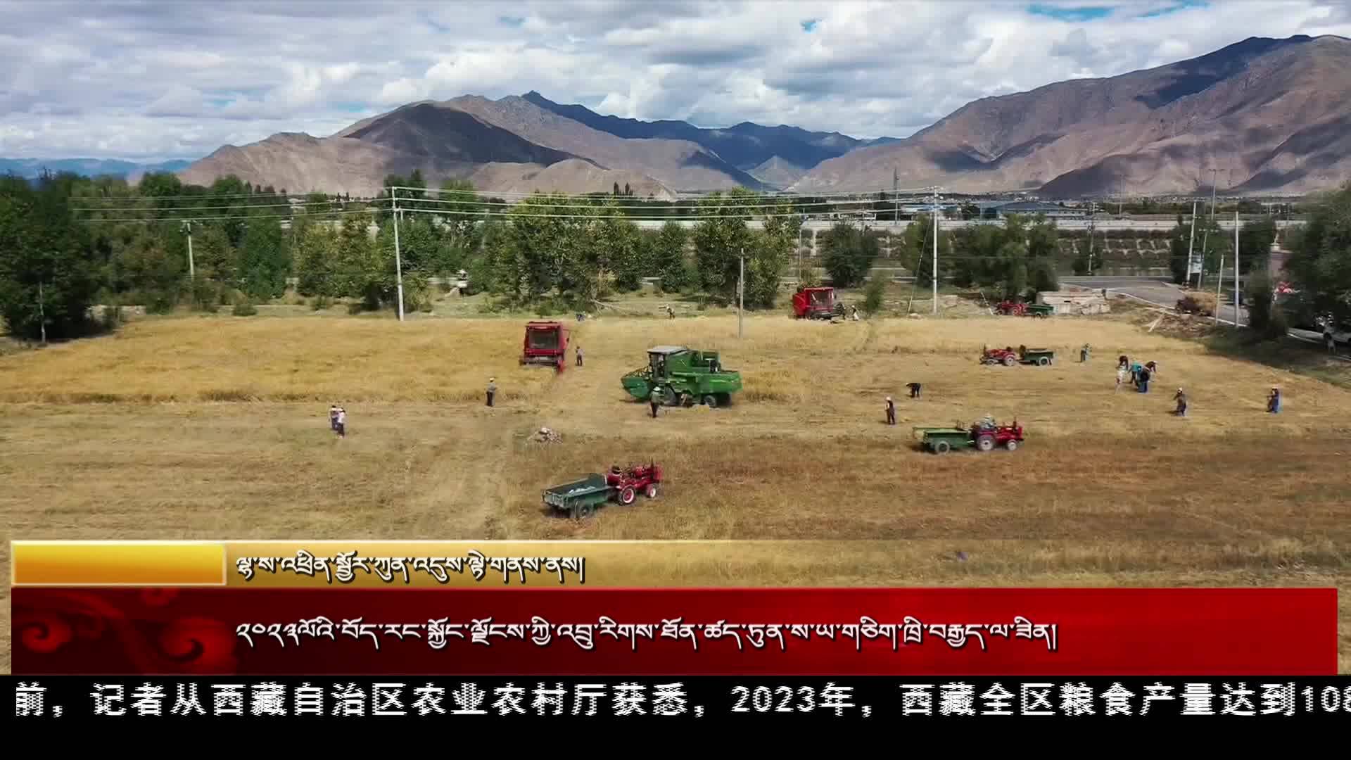 2023年西藏自治區糧食產量達到108萬噸