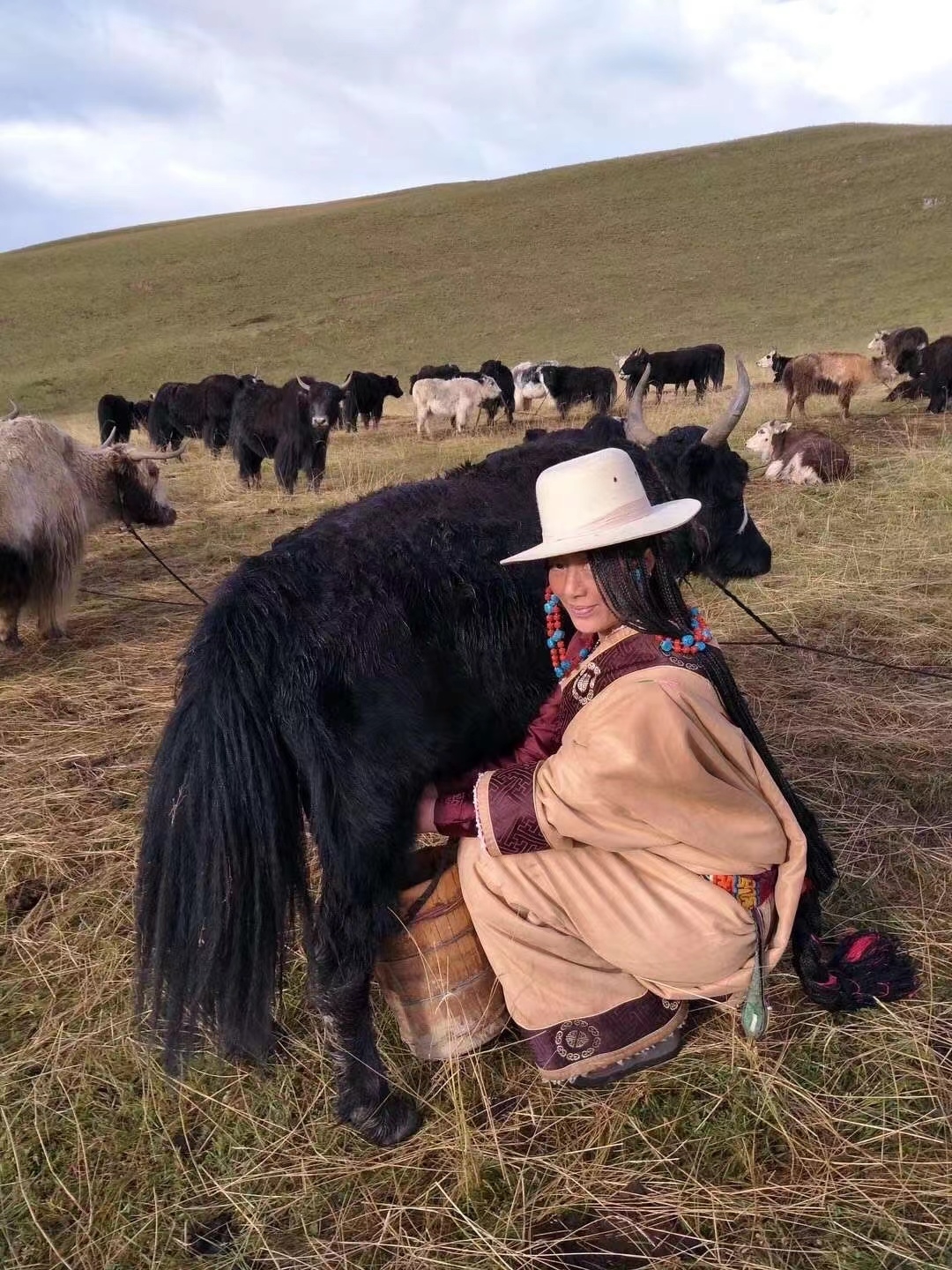 ལ་གླུའི་ལྷ་མོ།