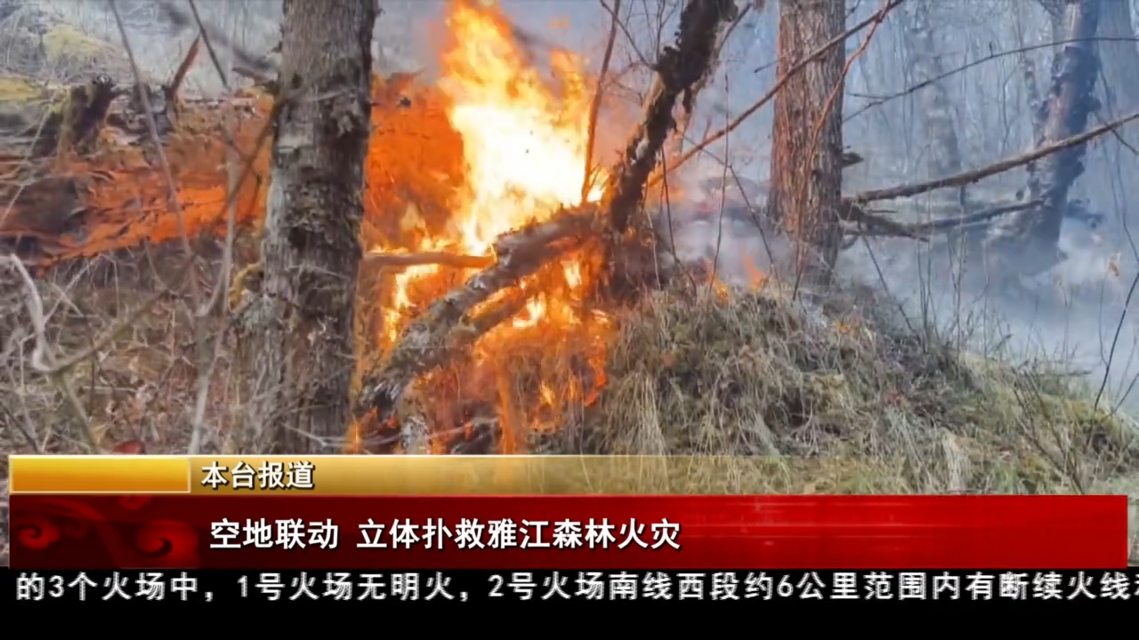 空地聯(lián)動 立體撲救雅江森林火災(zāi)
