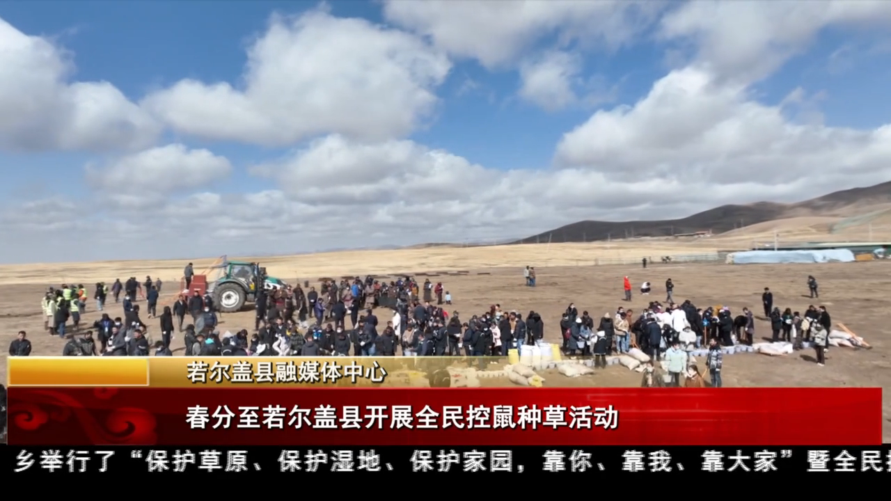 春分至 若爾蓋縣開展全民控鼠種草活動