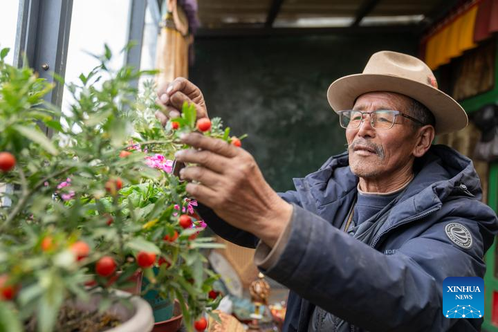 Feature: From serfdom to freedom, new life arising from old Xizang manor