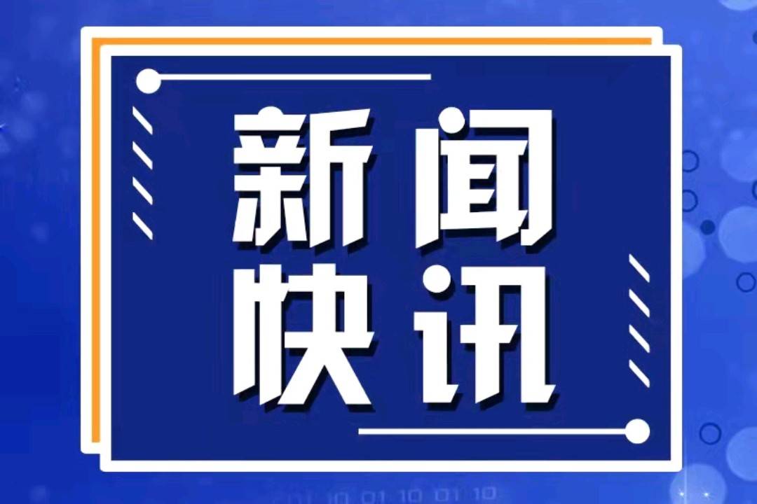 習近平會見巴基斯坦總理夏巴茲