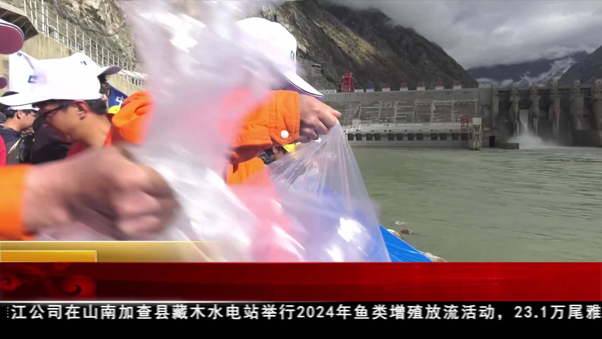 23.1萬尾魚苗放流雅魯藏布江流域