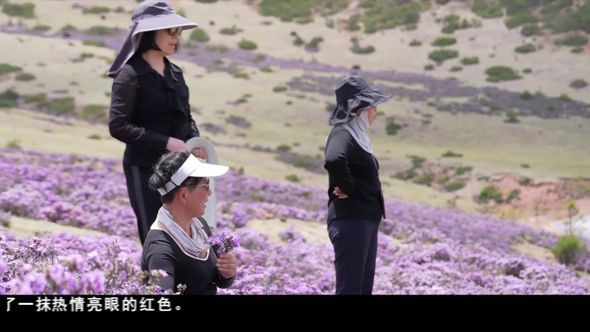端午假期 高原各地不斷釋放“假日經濟”消費活力