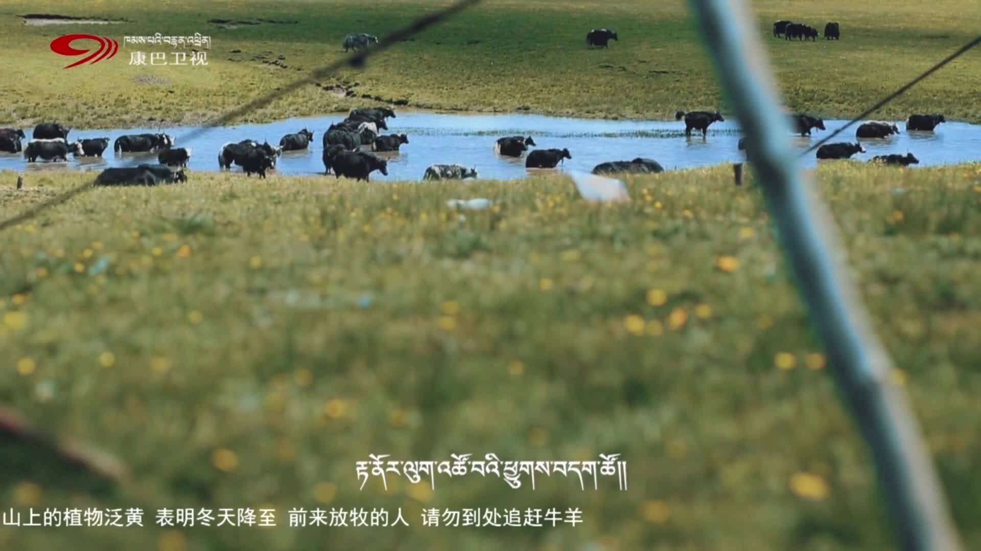 Singing clip of Tibetan song