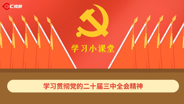 二十屆三中全會學習小課堂丨加強黨對改革的領導