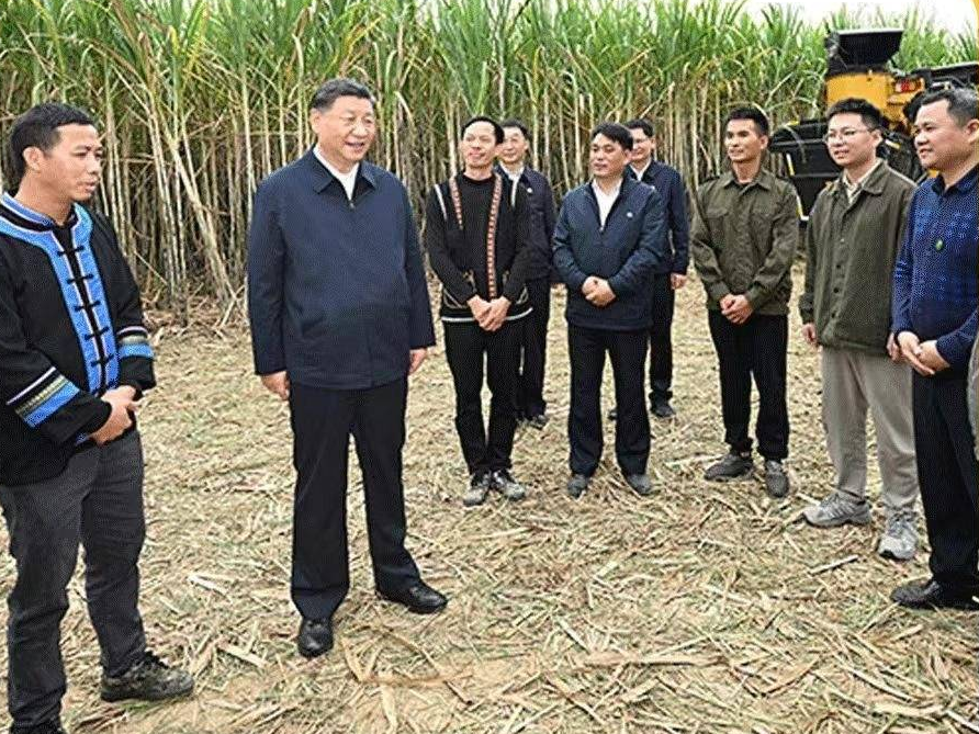 改革為人民丨“土特產” 鼓起鄉親們的“錢袋子”