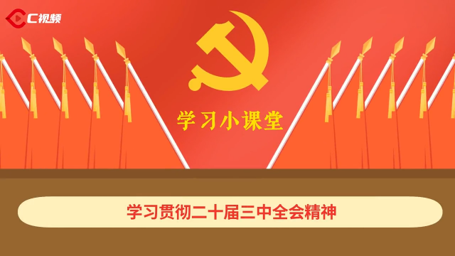 事關(guān)收入和就業(yè)，全會《決定》這樣部署→
