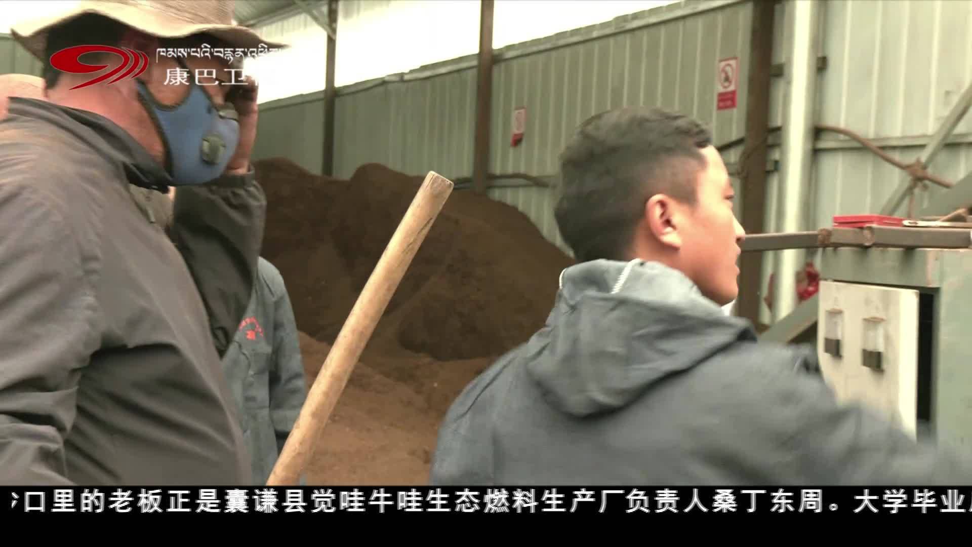 變“糞”為寶 暖了牧人 美了草原