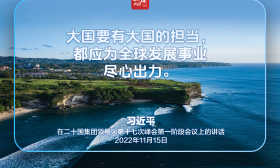 习近平:伙伴精神是二十国集团最宝贵的财富