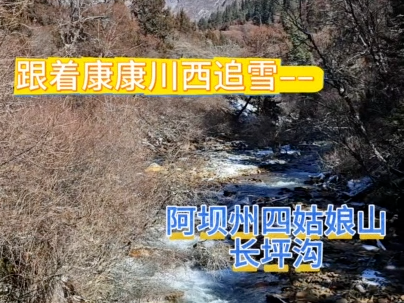 【跟著康康川西追雪】一起徒步雪后的長坪溝，向著幺妹峰前進吧！