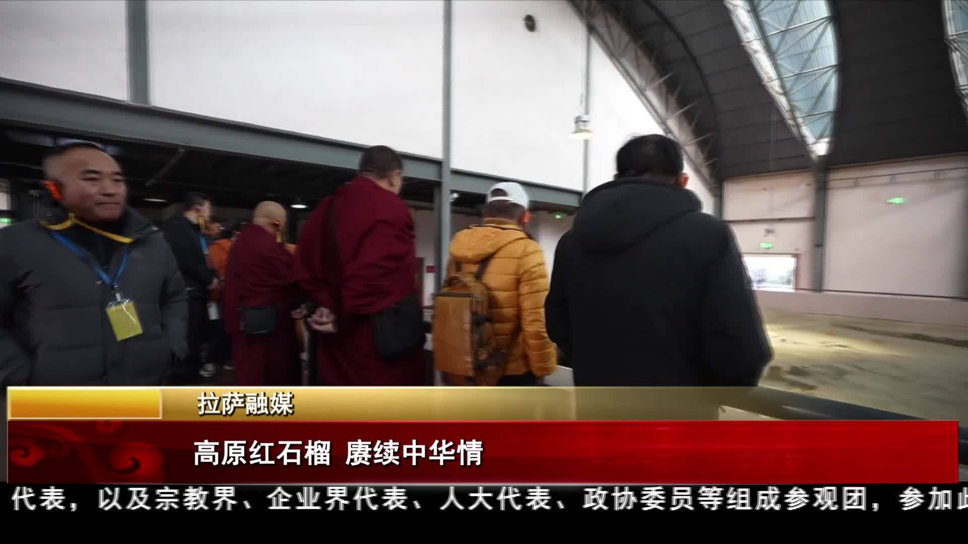 མཐོ་སྒང་གི་སེ་འབྲུའི་མེ་ཏོག་དམར་པོ། ཀྲུང་ཧྭའི་བརྩེ་བ་རྒྱུན་འཛིན།