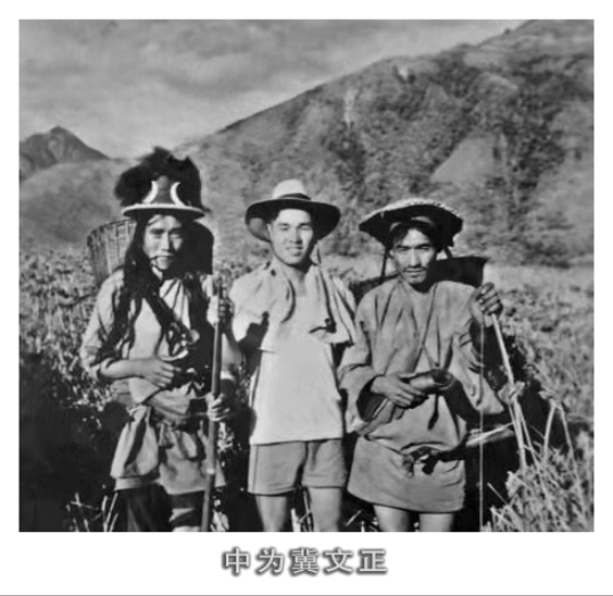圖片