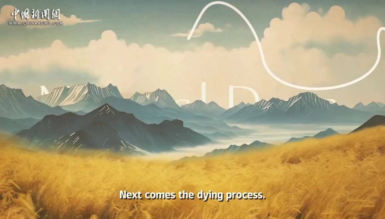 Tibetan carpets: combination of beauty and durability