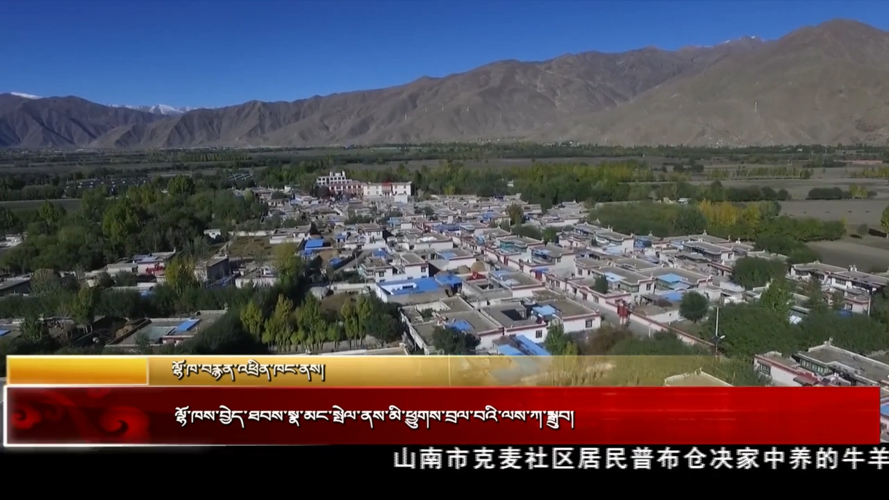 ལྷོ་ཁས་བྱེད་ཐབས་སྣ་མང་སྤེལ་ནས་མི་ཕྱུགས་བྲལ་བའི་ལས་ཀ་སྒྲུབ།