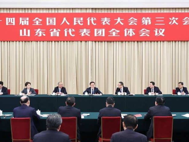 兩會受權發布丨韓正在參加山東代表團審議時強調 把思想和行動統一到黨中央對形勢的科學判斷和決策部署上來 努力完成好全年目標任務