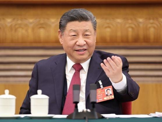 兩會第一觀察丨經濟大省如何挑大梁，總書記指明四個著力點