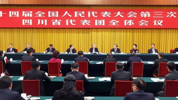 兩會受權發布丨趙樂際在參加四川代表團審議時強調 堅定信心 真抓實干 高質量完成“十四五”規劃目標任務
