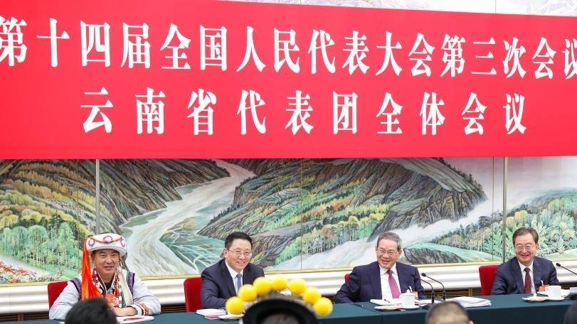 兩會受權發布丨李強在參加云南代表團審議時強調 發揮特色優勢 加快轉型升級 在深化改革開放中走出高質量發展新路子
